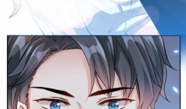 霸道总裁图片漫画,一场漫画中的浪漫冒险