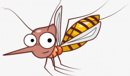 蚊子漫画,幽默揭示夏日烦扰