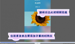 短视频加字幕,探索未来科技，开启智慧生活新篇章